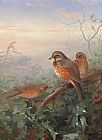 Archibald Thorburn Canvas Paintings - Out in the Cold